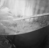 Ubåten Draken propellerskada