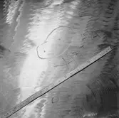 Ubåten Draken propellerskada