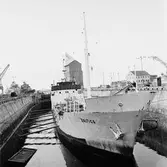 M/s Baltica oscarsdockan