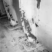 M/s Cygnus i oscarsdockan plåtskador