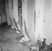 M/s Cygnus i oscarsdockan plåtskador