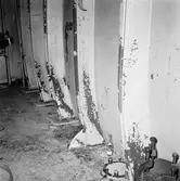 M/s Cygnus i oscarsdockan plåtskador