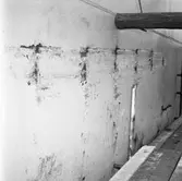 M/s Cygnus i oscarsdockan plåtskador