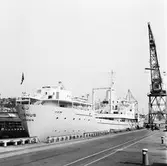 M/s Cygnus i oscarsdockan