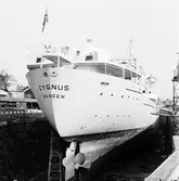 M/s Cygnus i oscarsdockan