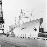 M/s Cygnus i oscarsdockan