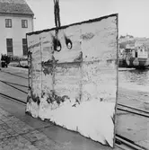 M/s Cygnus skadade plåtar