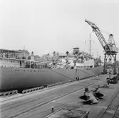 M/s Cygnus Seattle Hermes vid dockorna