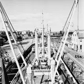 M/s Traneland i oscarsdaockan