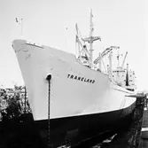M/s Traneland i oscarsdaockan