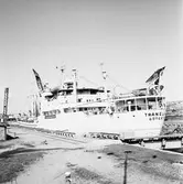 M/s Traneland i oscarsdaockan