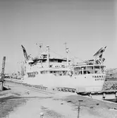 M/s Traneland i oscarsdaockan