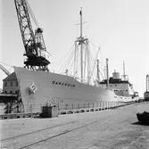 M/s Danaholm i oscarsdockan