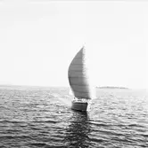 Karlskronakryssaren till sjöss