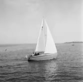 Karlskronakryssaren till sjöss