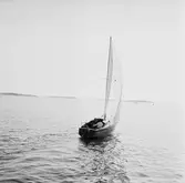 Karlskronakryssaren till sjöss