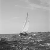 Karlskronakryssaren till sjöss