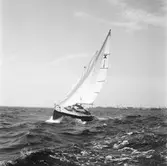 Karlskronakryssaren till sjöss