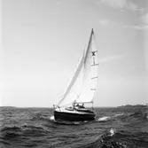 Karlskronakryssaren till sjöss