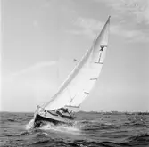 Karlskronakryssaren till sjöss