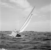 Karlskronakryssaren till sjöss