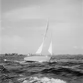 Karlskronakryssaren till sjöss