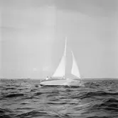 Karlskronakryssaren till sjöss