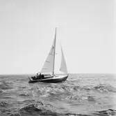 Karlskronakryssaren till sjöss