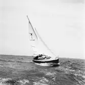 Karlskronakryssaren till sjöss