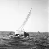 Karlskronakryssaren till sjöss