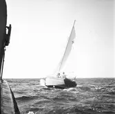 Karlskronakryssaren till sjöss