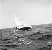 Karlskronakryssaren till sjöss