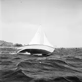 Karlskronakryssaren till sjöss