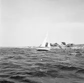 Karlskronakryssaren till sjöss