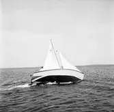 Karlskronakryssaren till sjöss