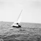 Karlskronakryssaren till sjöss