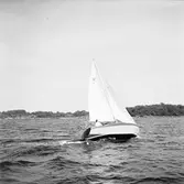 Karlskronakryssaren till sjöss