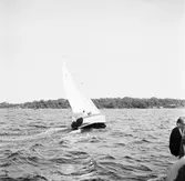 Karlskronakryssaren till sjöss