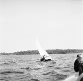 Karlskronakryssaren till sjöss