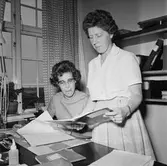 El.sekt tavla samt int o personal