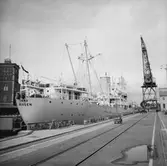 M/s Irma i oscarsdockan skador på bordläggningen