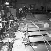 Nybygge M46 i skjulet,