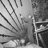 Nybygge M46 i skjulet,