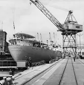 Los Angeles av Sthlm. i oscarsd.