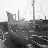 Civil båt i docka 4 Libra