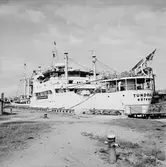 Båt i docka Tundraland