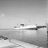 Båtar i dockor Popi o Alvö