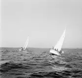 Segelbåten Viggen till sjöss