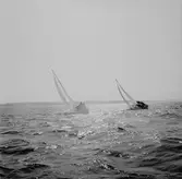 Segelbåten Viggen till sjöss