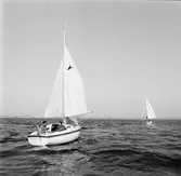 Segelbåten Viggen till sjöss